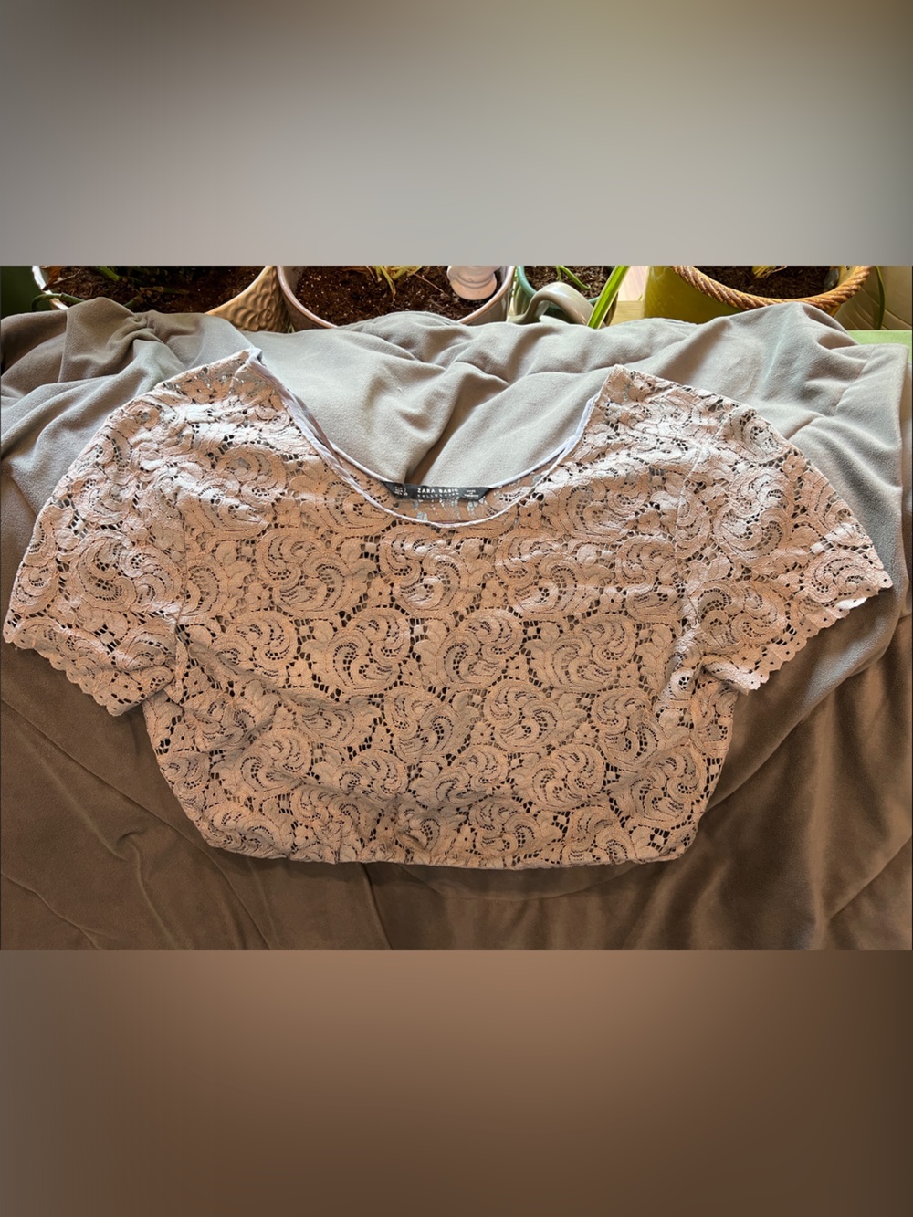 Zara Lace Short Sleeve Crop Top - Gray